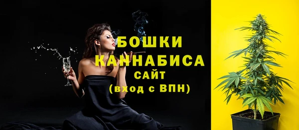 стаф Пересвет
