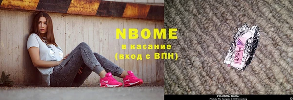 стаф Пересвет